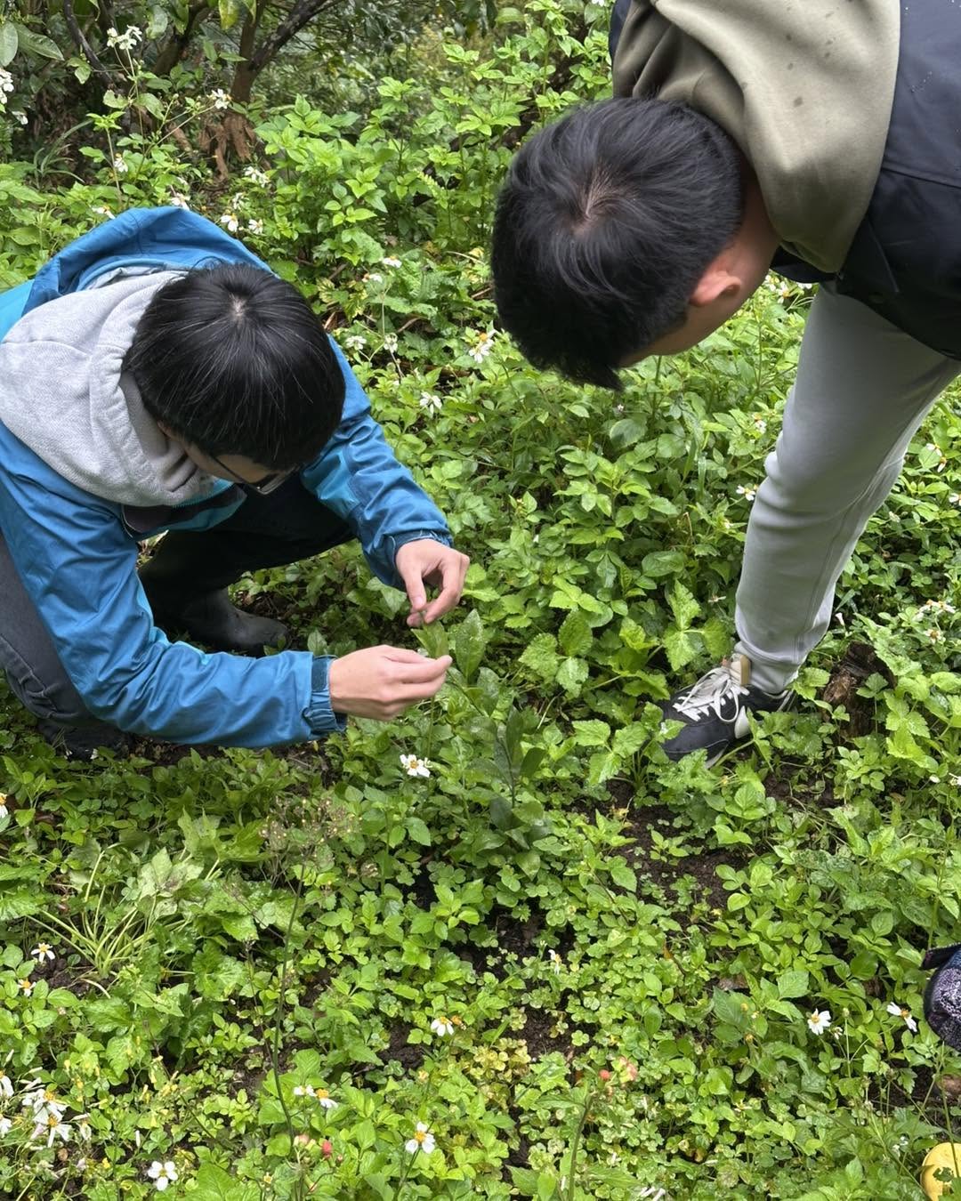 北投雲集農田行動