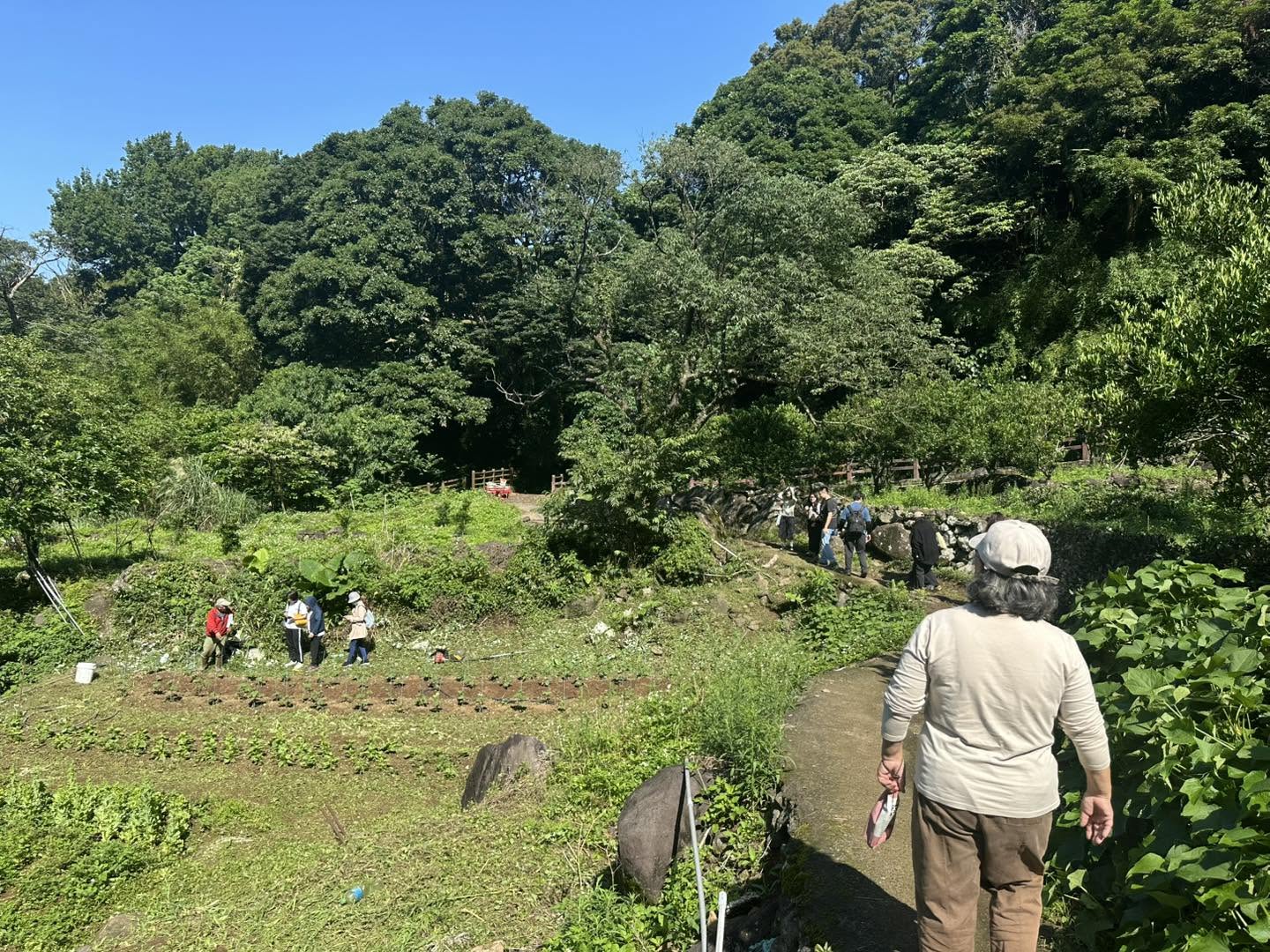 田野行動